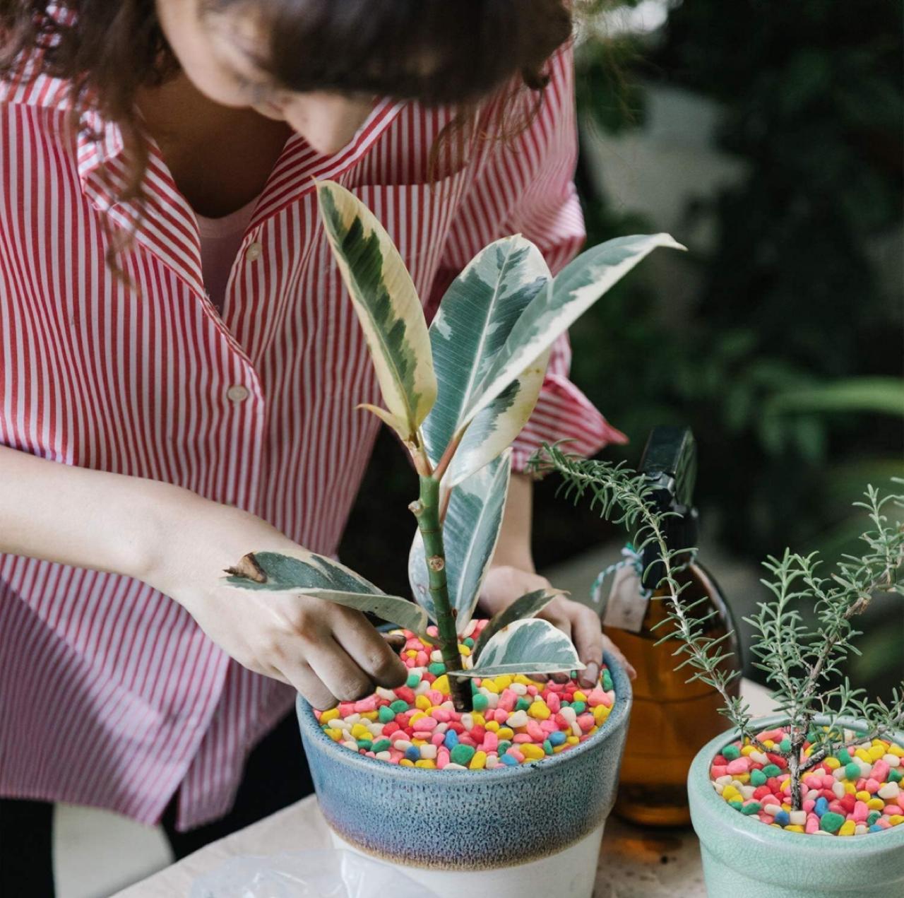 GARDEN STONS MULTI COLOUR 1 KG