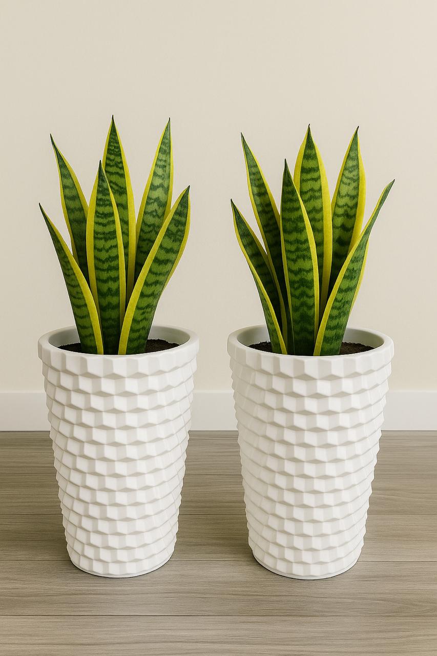 Stone fixed type plastic quality 12” indoor flower pot (pack of 2)