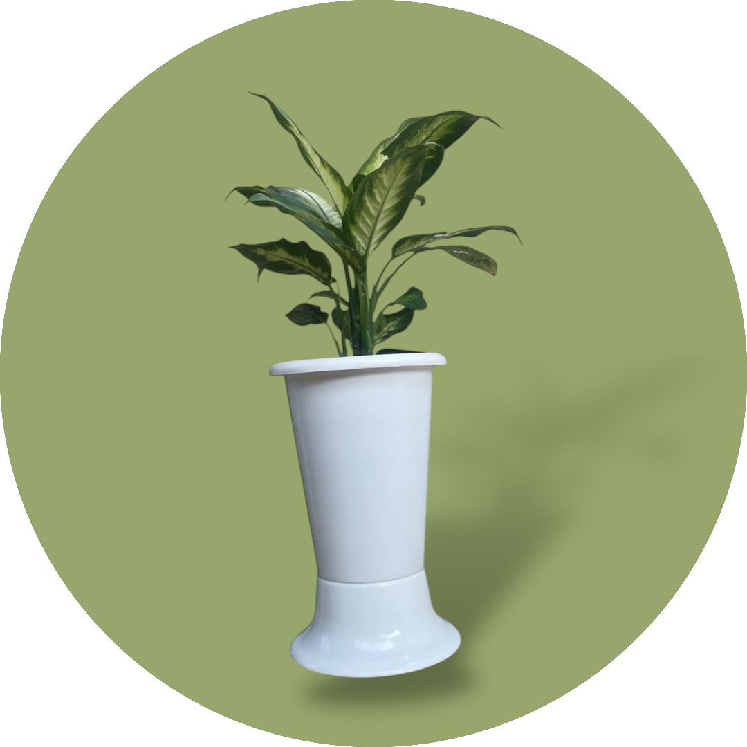 INDOOR FLOWER POT