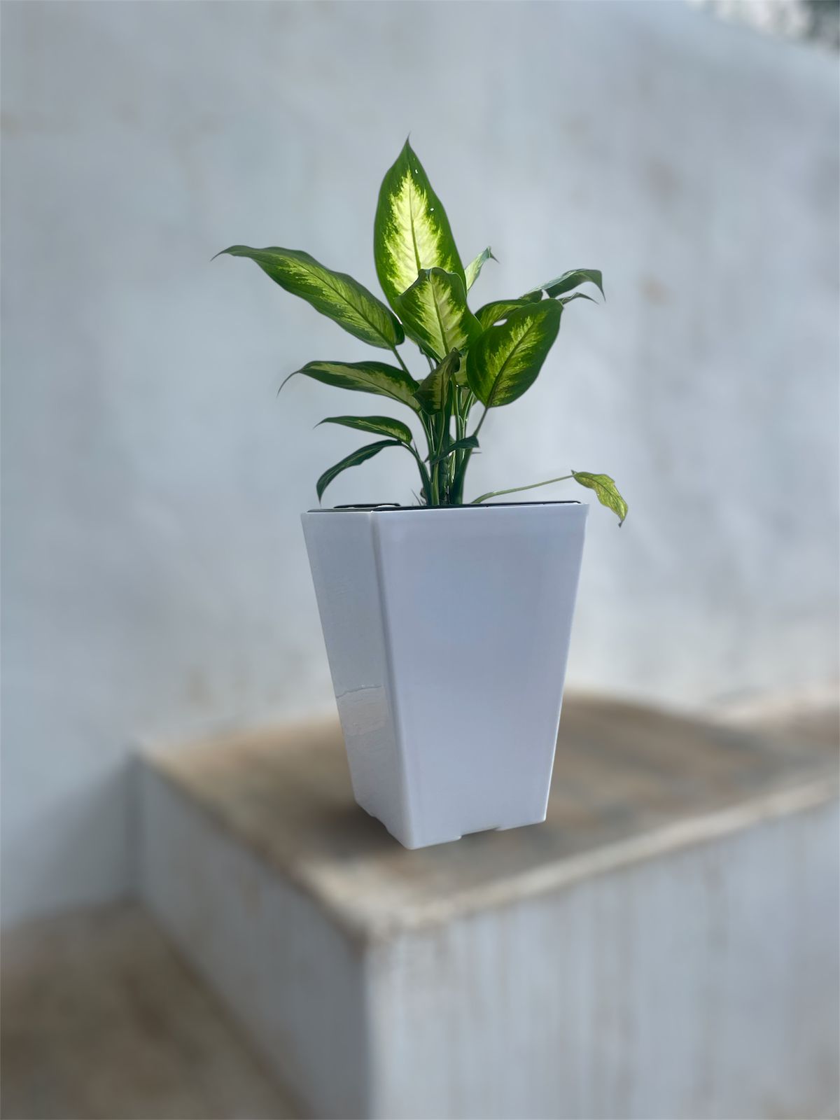 Square Face Plastic Tower Pot